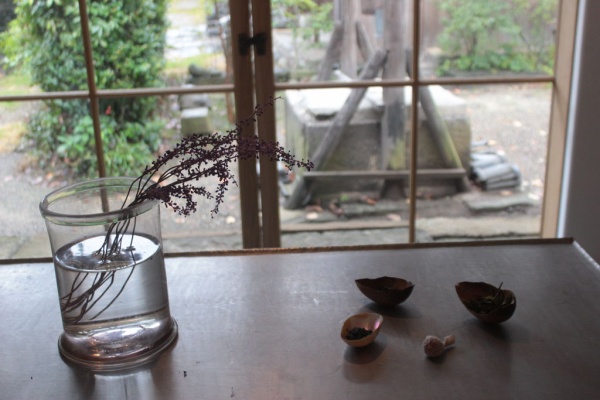 ひばりblog ちゃのわのかい