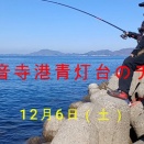 観音寺港青灯台のチヌ