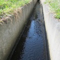 2025年4月17日　木くず破砕施設「あじさい」水路清掃、ゴミ拾い