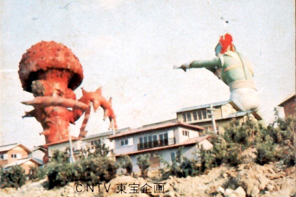 Metalorder カードコレクション 行け グリーンマン