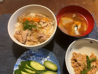 もうダメかと諦めかけましたが＆生姜焼きどんぶり