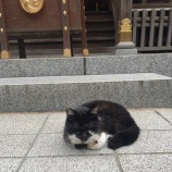 『徳と才のバランス vol.3043』の画像