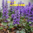 暦‐2026年4月26日