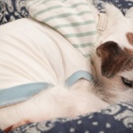 華・あず＆レン