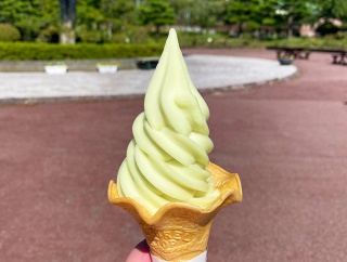 函館「市民の森売店」の期間限定シャインマスカットソフトクリーム！