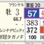 ハイブリッド競馬新聞