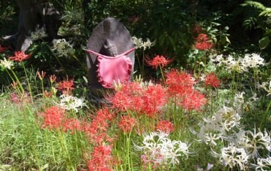 『新・常泉寺　五百羅漢　３』の画像