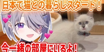 【ホロEN】ビブー、ついに猫との暮らしがスタート！マイクラ配信中も猫の様子を見たり、話しかけたりするのが可愛すぎるｗ
