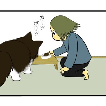 【猫との暮らし】目移りしちゃう猫