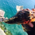 春めいた海でライトゲーム