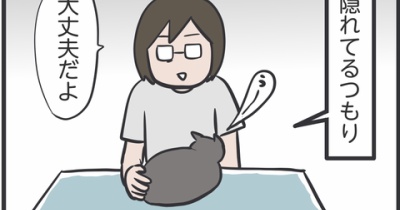 ちょっと控えめなシャー