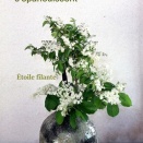 Un poème joué par un vase ―２２