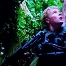 切り株画像（映画『２８年後...』より、とある兵士の末路）