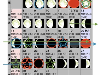 2025年12月の自然観察日