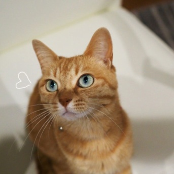 まる子の目の色シューズ♪