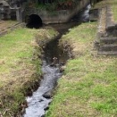 楠根川（寝屋川市）沿いの道　堀溝