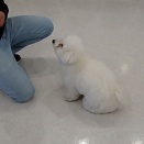 お勉強の時間🌛