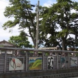 『【相川・小木・八幡・新穂】秋色の佐渡、美術館・博物館巡り』の画像