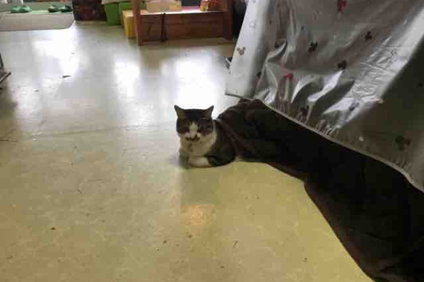 長野県上田市 女性のためのお顔そり専門店 ブライダル ぷしゅけ