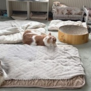 全員そろってのカメラ目線写真を撮りたい！