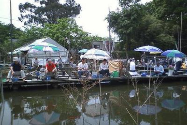 また買っちゃった みのぱんの釣り道具ミュージアム 金魚釣り