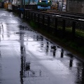 雨の風景を試行錯誤中