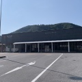 🌸【真夏でも涼しい！】清流に咲く夏の妖精「梅花藻」と中山道・醒井宿を歩いてきました｜（滋賀県米原市）
