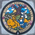福井県のポケふた