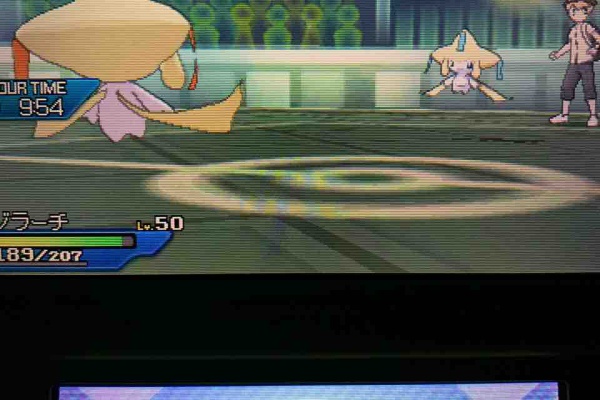 タイプ ワイルドになりたくて ポケモン