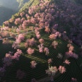 【画像】日本人カメラマンが中国で撮影した写真、まさにこれこそが中国らしい写真だと絶賛される…