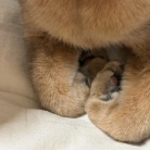 毎日、かわいいを見せつけてくるぼくちん♡