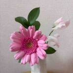 ひろこのひとりごと