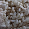発酵生活｜コレは美味しい！おすすめの生麹