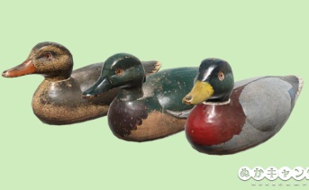 アヒルのデコイ