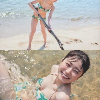 乃木通　乃木坂46櫻坂46日向坂46