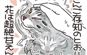 花の苦手なこと