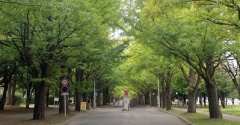 しっかり ゆっくり 過ごす秋
