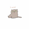 ねこ日記 - 新居に慣れる。