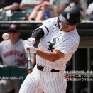 日本人選手1年目の本塁打記録