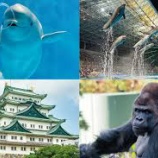 『愛知県 名古屋市の看護師、常勤・派遣・非常勤・パート・委託求人』の画像
