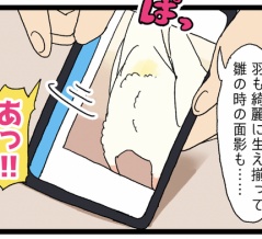 鳥さんのおちりの写真、撮るよね🍑