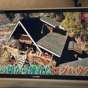 �����Ϸ뺧��ǰ���Ǥ����������ϥݥĥ�Ȱ츮��