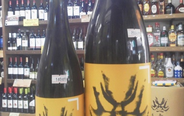 ��ɴ��Ϻ�����ƶ�����̣��������٤β���