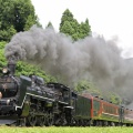 SLばんえつ物語 磐越西線 五十島～三川 2025/07/12