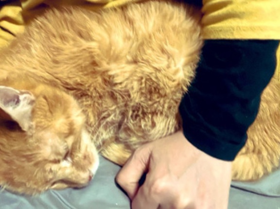 悲しみのあとさき　20251207