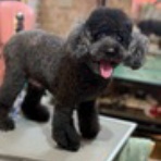 お客様のご紹介