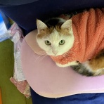 みらんこりんとらんのﾜﾝﾊﾟﾀｰﾝなblog