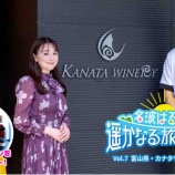 『名波はるかの遥かなる旅の軌跡』の画像