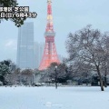 【ﾌｧﾝｻﾏﾘｨ】東京都心で3cmの積雪を観測　衆議院選挙投票始まり午前11時時点の投票率は前回より低め