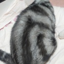 電話の呼出音まで聴こえない婆さん